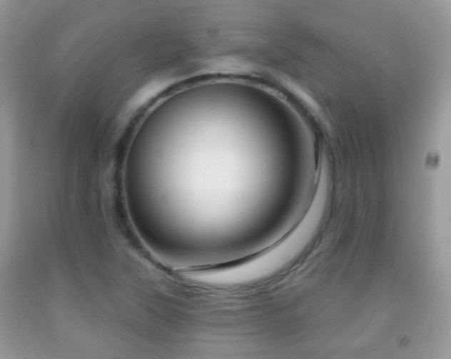 X0000091991315200709061410