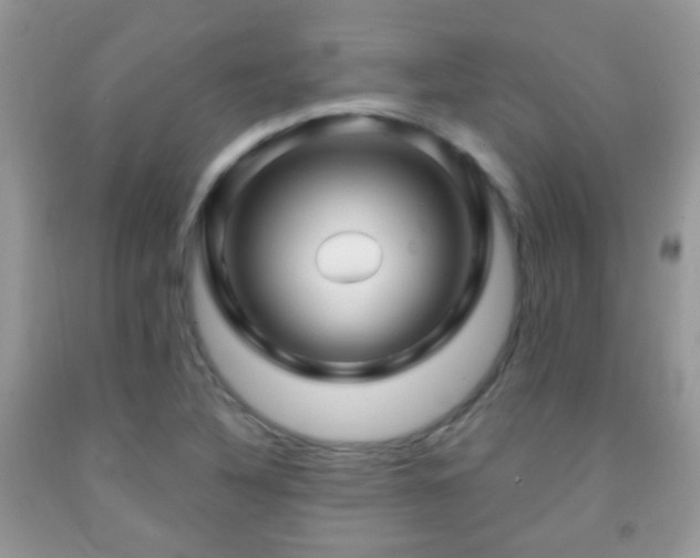 X0000091991316200709061410