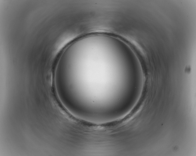X0000091991317200709061410