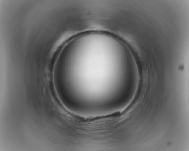 X0000091991318200709061410
