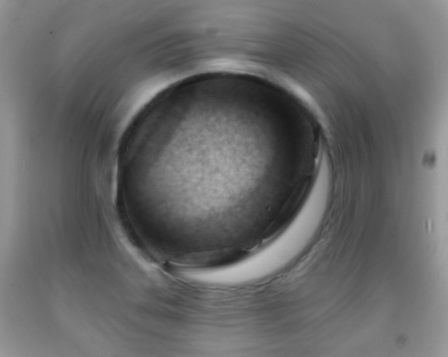 X0000091991323200709061410