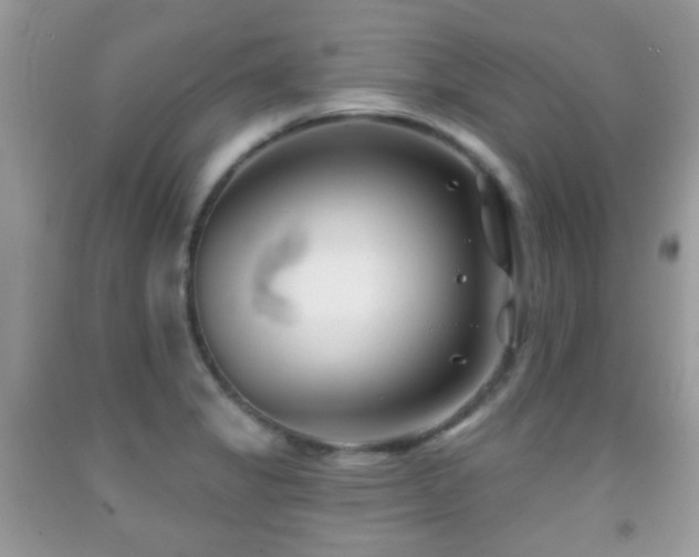X0000091991325200709061410