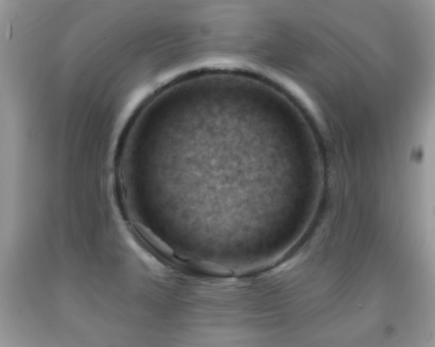 X0000091991327200709061410