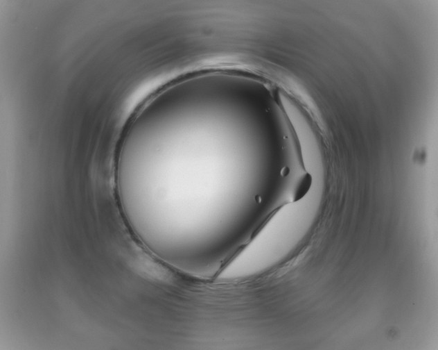 X0000091991328200709061411