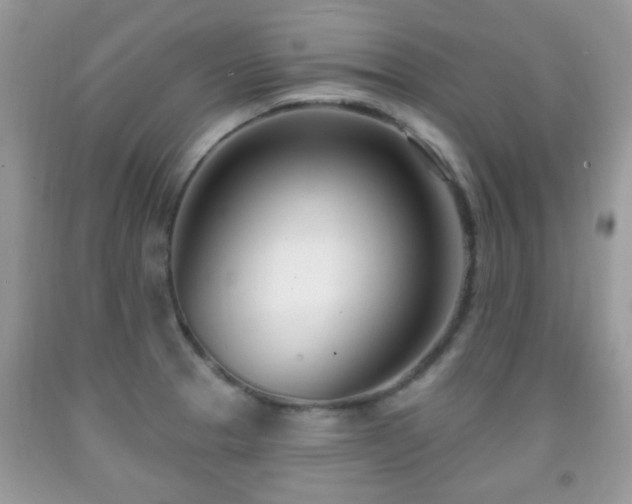 X0000091991329200709061411
