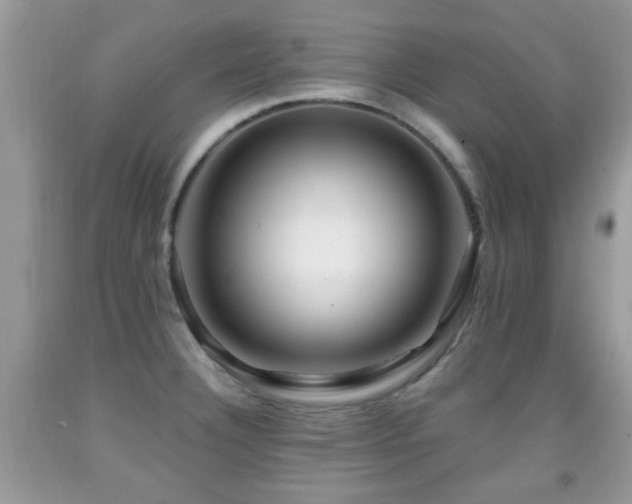 X0000091991332200709061411