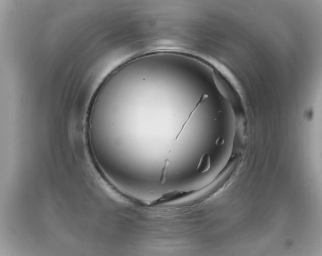 X0000091991333200709061411