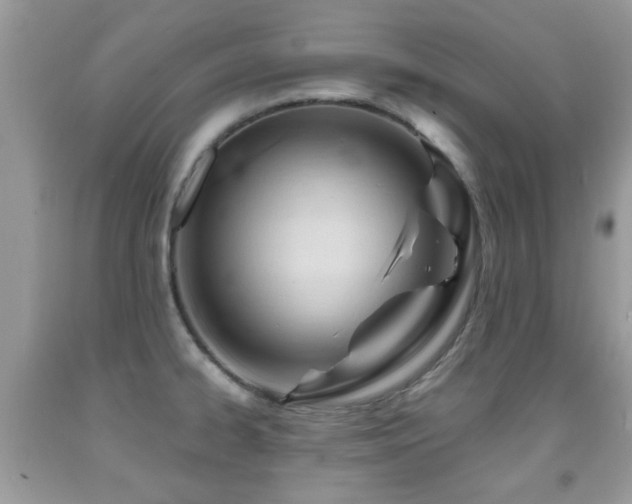 X0000091991334200709061411
