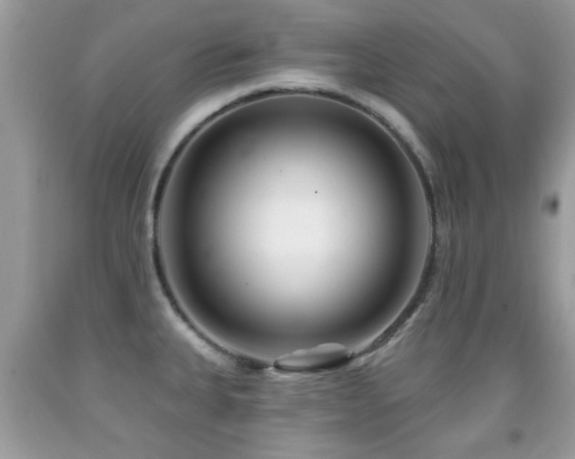 X0000091991335200709061411