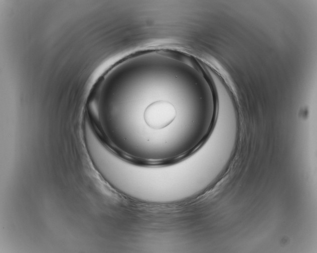 X0000091991336200709061411