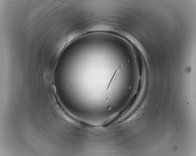 X0000091991337200709061411