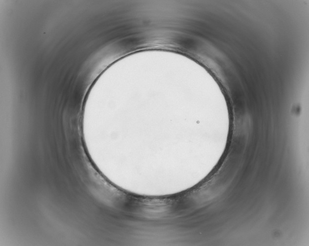X0000091991338200709061411