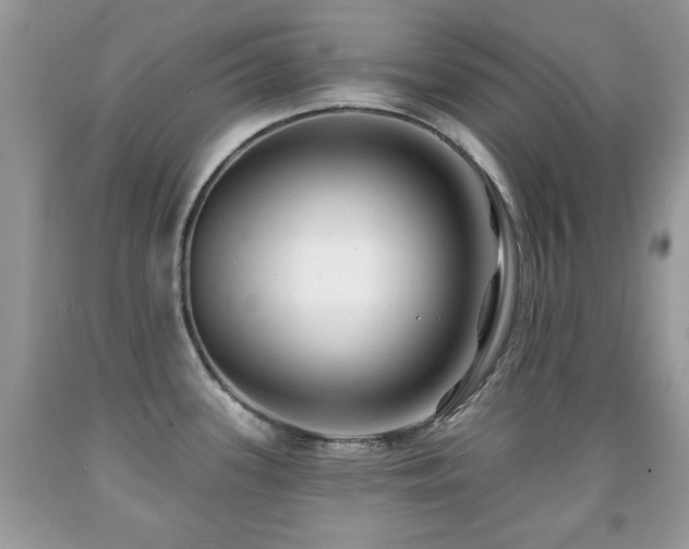 X0000091991339200709061411