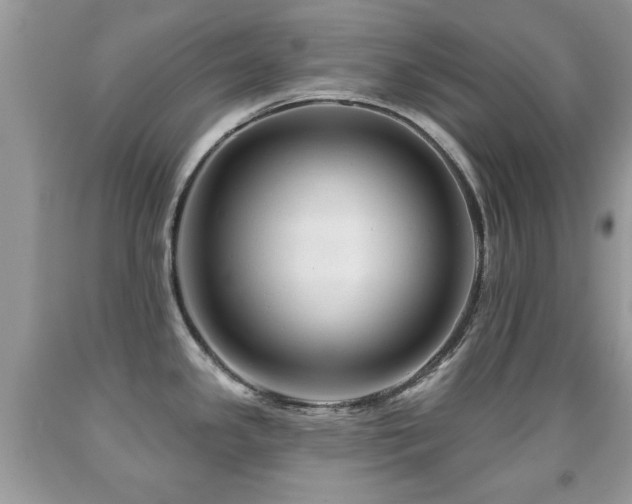 X0000091991341200709061411