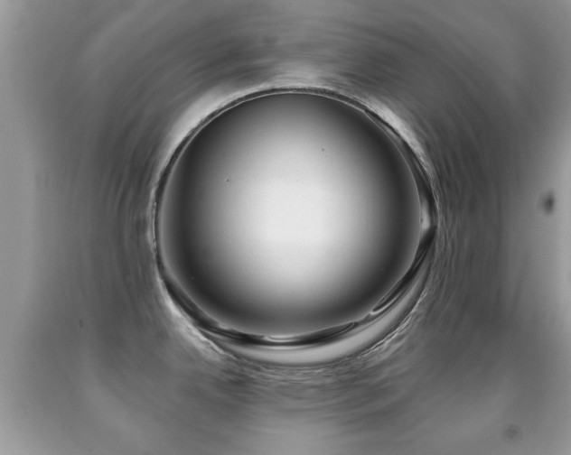 X0000091991342200709061411