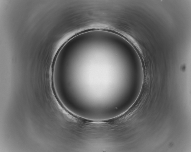 X0000091991343200709061411