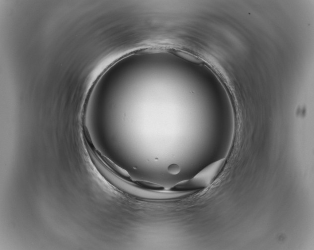 X0000091991344200709061411