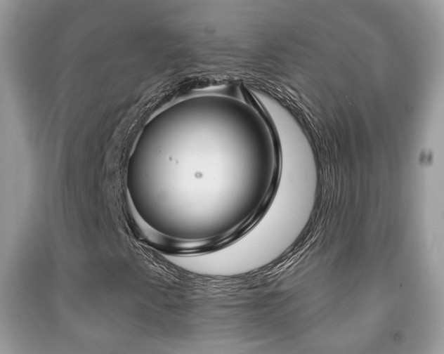 X0000091991345200709061410
