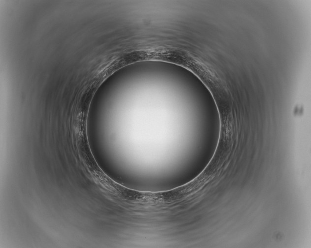 X0000091991346200709061410