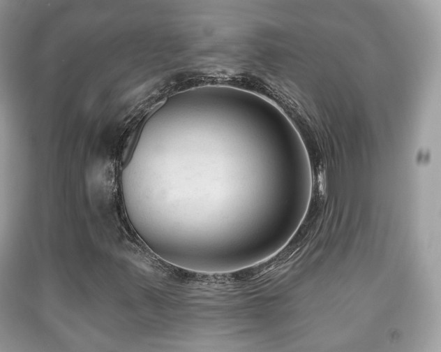 X0000091991347200709061410