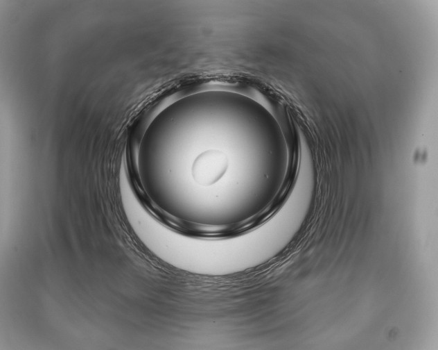 X0000091991348200709061410