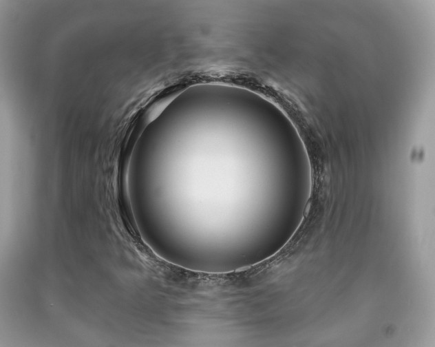 X0000091991349200709061410