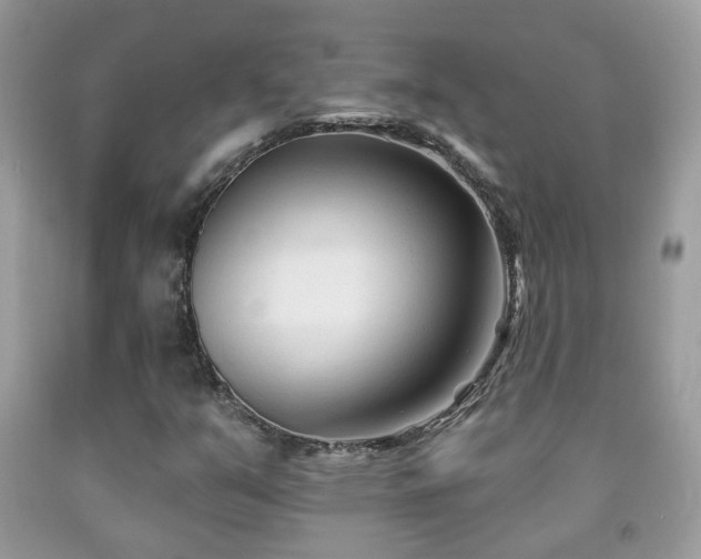 X0000091991351200709061410