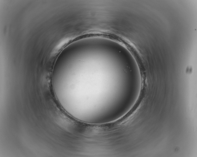X0000091991355200709061410