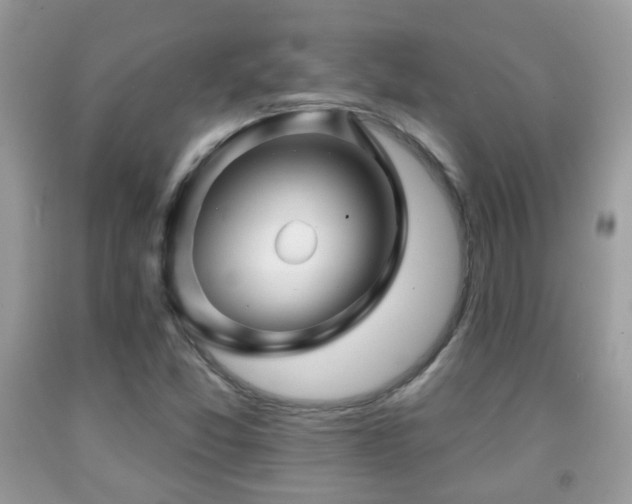 X0000091991357200709061410