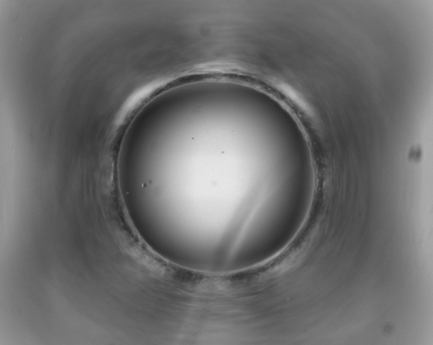 X0000091991358200709061410