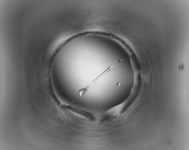 X0000091991359200709061410