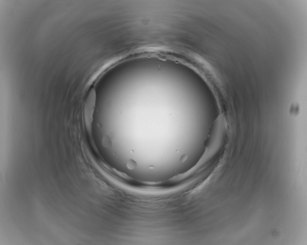 X0000091991361200709061410