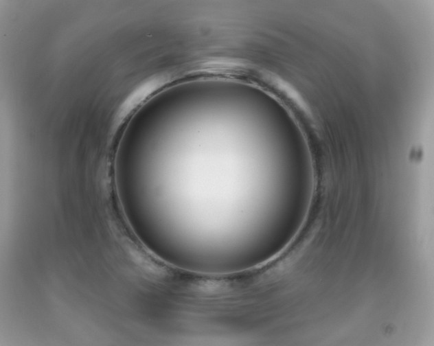 X0000091991362200709061410