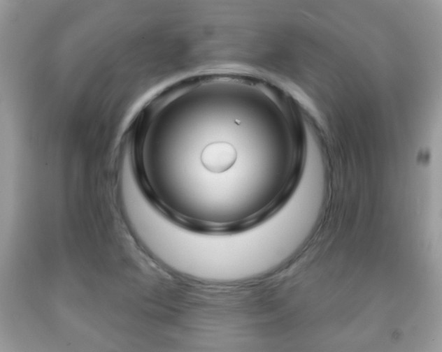 X0000091991364200709061410