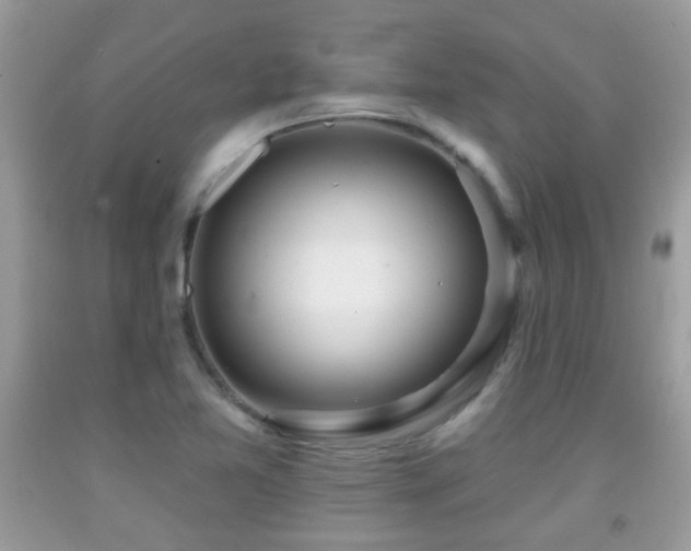 X0000091991365200709061410