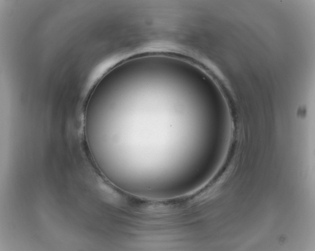 X0000091991366200709061410