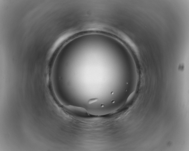 X0000091991368200709061410