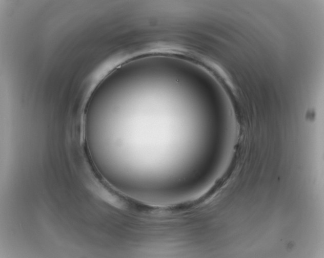 X0000091991371200709061410