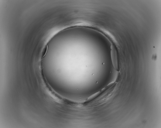 X0000091991375200709061410
