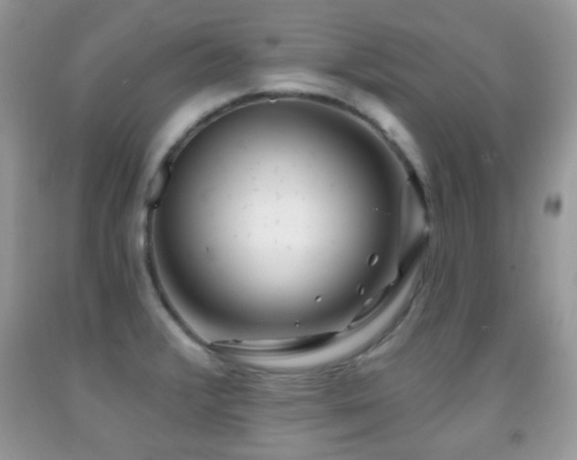 X0000091991376200709061410