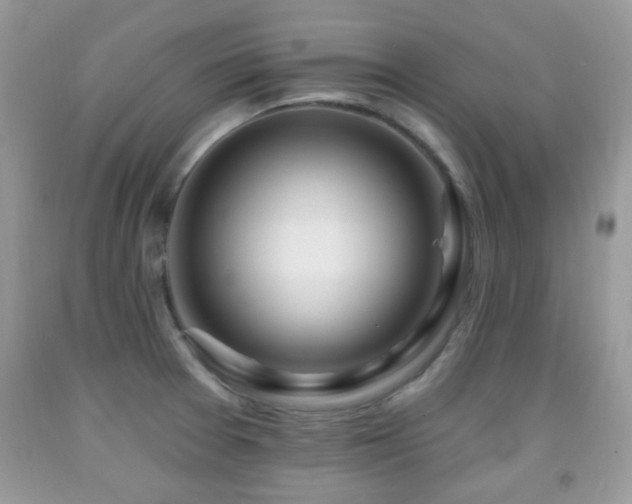X0000091991377200709061410