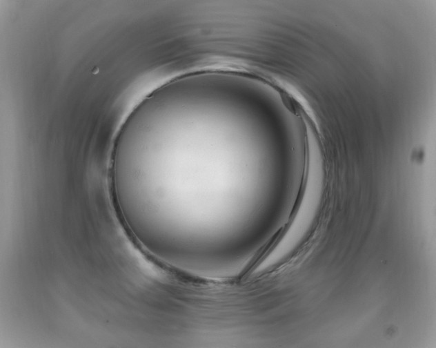 X0000091991379200709061410