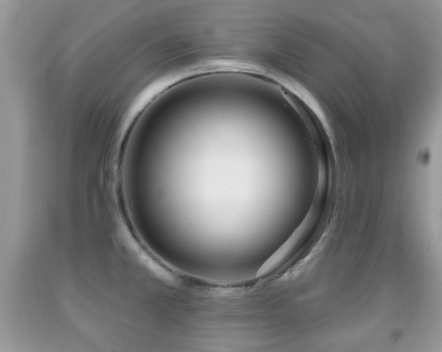 X0000091991381200709061410