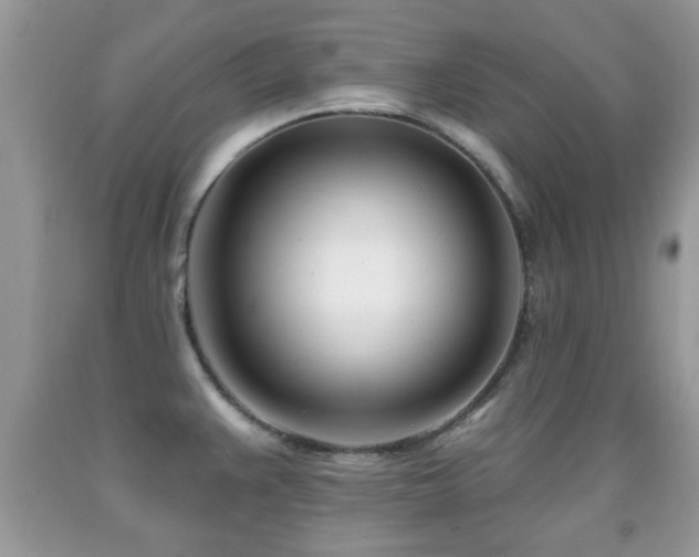 X0000091991383200709061410