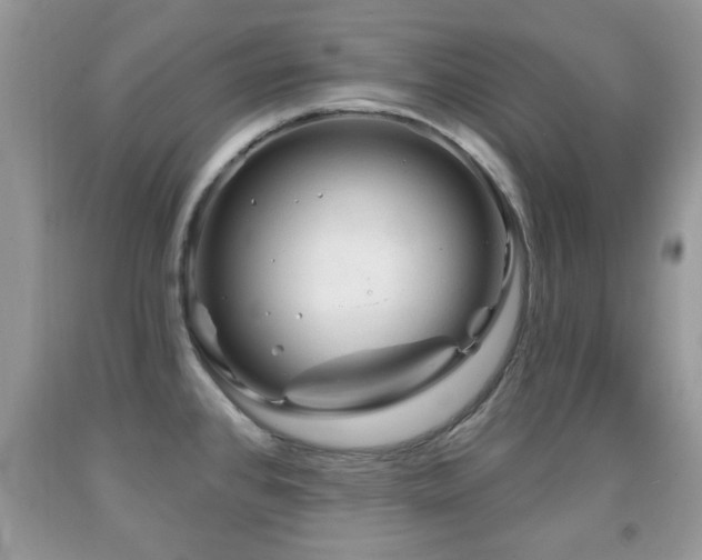 X0000091991384200709061410