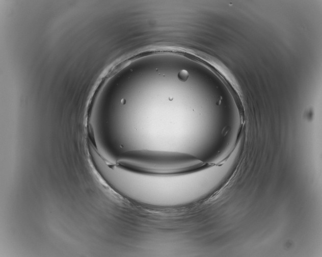 X0000091991388200709061410