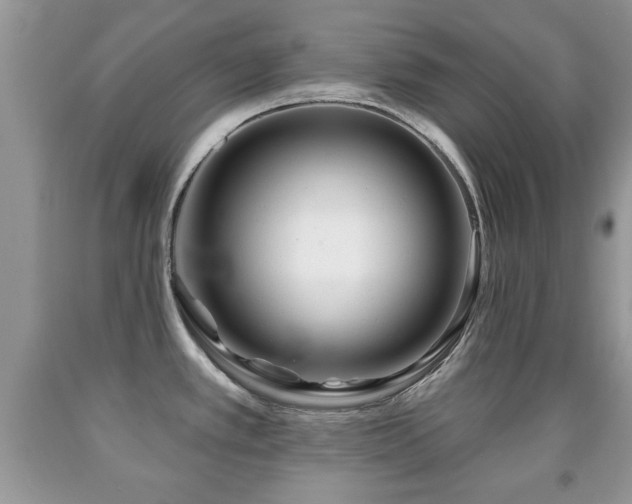 X0000091991389200709061410