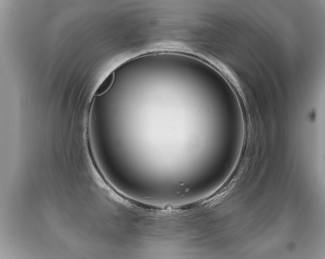 X0000091991390200709061410