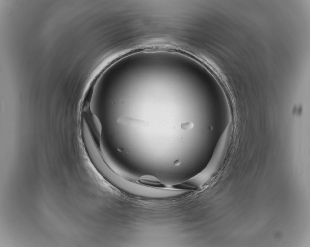X0000091991392200709061410