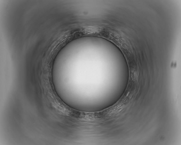 X0000091991393200709061409